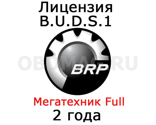 Лицензия BUDS 1 "Мегатехник" 2 года